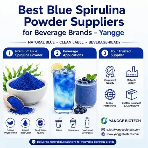 Best Blue Spirulina Powder Suppliers for Beverage Brands - Yangge